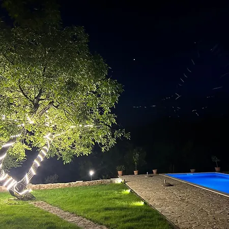 Zlatna Glavica Подгориця